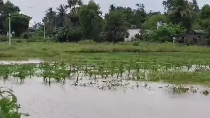 গড়বেতা ২: তিনদিনের টানা বৃষ্টিতে ব্যাপক ক্ষয়ক্ষতি এলাকাতে  পশ্চিম মেদিনীপুর জেলার গড়বেতা গোয়ালতোড় এলাকাতে