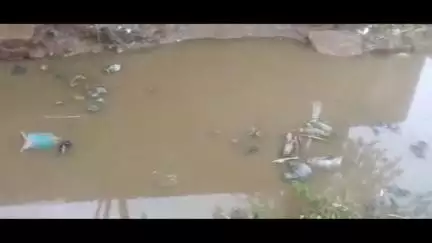 इटावा: सारंगपुरा में जल भराव की समस्या को लेकर ग्रामीणों ने कलेक्ट्रेट परिसर में डीएम को दिया शिकायती प्राथना पत्र।#jansamasya