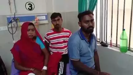 नौगढ़: बर्डपुर नंबर 6 रजवापुर में जमीनी विवाद में दबंगों ने एक परिवार के लोगों के साथ की मारपीट