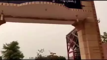 भादरा: खेत में घुसकर आरोपितों ने पति, देवर व ननंद के हाथ तोड़े, मामला दर्ज