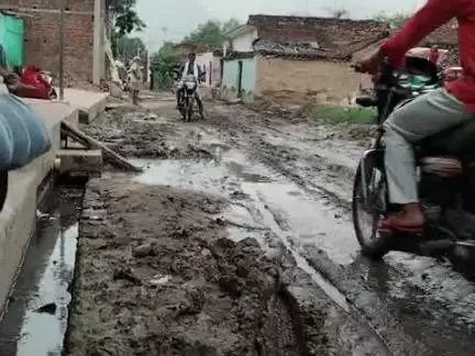 ग्राम करमेर की चमारी की गली में कोई सुनवाई नहीं हो रही है प्रधान को सूचित किया गया है की एक सफाई कर्मी भेजा जाए उसने अनस