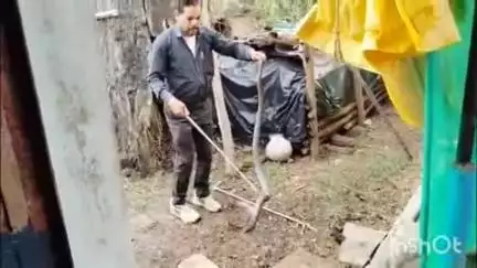 जैतहरी: पिपरिया गांव में 6 फीट का नाग सांप हुआ रेस्क्यू, सर्प प्रहरी छोटेलाल यादव ने दिखाया साहस