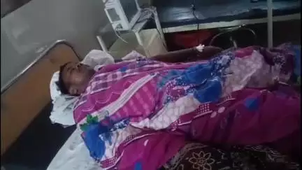हनुमना: नंदन पुरवा गांव में रिहायशी मकान पर पेड़ गिरने से दो घायल, अस्पताल में भर्ती