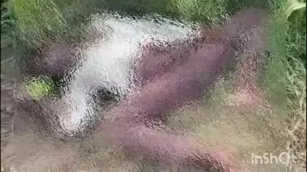 धौलाना: गांव उवारपुर में ट्यूबवेल के पास खेत में मिला करीब 32 वर्षीय युवक का शव, पुलिस जांच में जुटी