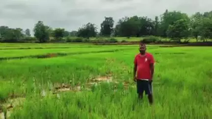 अल्बर्ट एक्का (जारी): श्रीनगर गांव में हाथियों का आतंक, किसानों की फसलें बर्बाद, प्रशासन से मांगी मदद