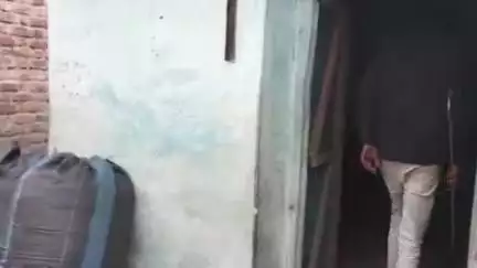 बंडा: ग्राम गूगरा में भूसे में छिपा ब्लैक कोबरा, स्नैक कैचर ने किया रेस्क्यू