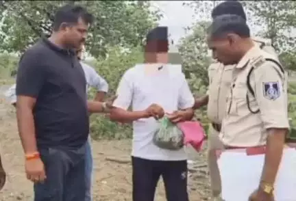 उदयनगर: थाना हरणगांव पुलिस ने गांजा खरीदने-बेचने वाले आरोपी को अवैध गांजे के साथ पकड़ा