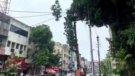 વડોદરા પશ્ચિમ: જગન્નાથ રથયાત્રાને લઈને રૂટ પરના તોતિંગ વૃક્ષની ડાળીઓનું ડ્રીમિંગ વડોદરા મહાનગરપાલિકા ની ટીમ દ્વારા હાથ ધરાયું.