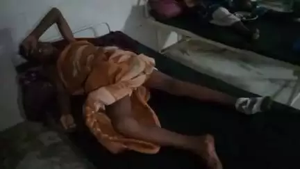 गोपद बनास: रूदा में एक व्यक्ति पेड़ से गिरा, गंभीर रूप से घायल