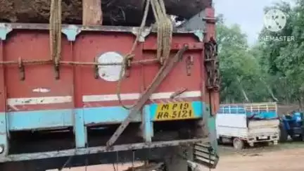 बांधवगढ़: उमरिया वन विकास निगम की टीम ने बिना परमिट 13 घन मीटर साल की लकड़ी से भरा ट्रक किया ज़ब्त