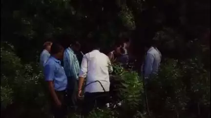 मिर्ज़ापुर: कमिश्नर कार्यालय के समीप विशाल नीम का पेड़ गिरने से कई दो पहिया वाहन हुए क्षतिग्रस्त, आवागमन हुआ बाधित