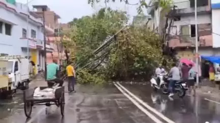 जमुना क्रिश्चियन इंटर कॉलेज के पास बारिश के कारण गिरा विशाल पेड़, बिजली का पोल हुआ क्षतिग्रस्त, कई गाड़ियां दबी