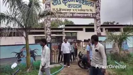 उमरेठ: कचराम की गौशाला में दो दिनों में चार गायों की मौत, अब तक 25 गायों की मौत हो चुकी, परासिया विधायक ने किया निरीक्षण