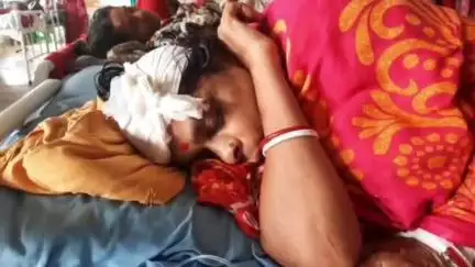 রানাঘাট ১: কামগাছিতে কোদালের আছাড়িতে আহত মহিলা
