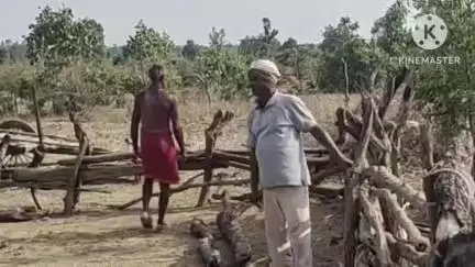 बटियागढ़: वन विभाग की टीम ने ग्राम सेमरा में वन भूमि से हटाया अवैध अतिक्रमण