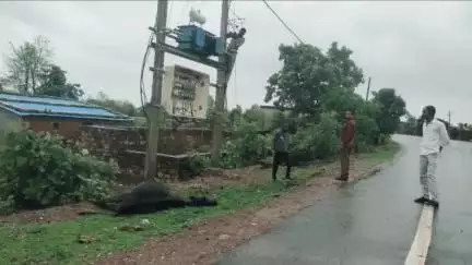 नागौद: उसरार मोड़ सिंहपुर ट्रांसफार्मर में करंट उतरने से गाय की मौत, पालक को हुआ नुकसान