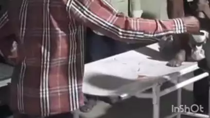 पटेरा: कुआंखेड़ा के पास अज्ञात वाहन ने बाइक सवार बुजुर्ग को मारी टक्कर, घायल