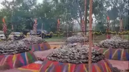 देवास नगर: शील नाथ धुनी संस्थान में 41 दिवसीय तपस्या पूर्ण होने पर भंडारे का आयोजन किया गया