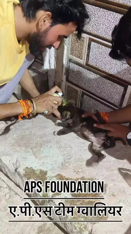 बहुत छोटा बच्चा था 🥺…

Respect girls help poor help animals 

#apsgurjar #dog #dogslife #gwalior