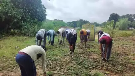 चान्हो: चान्हो प्रखंड क्षेत्र के विभिन्न स्थानों पर अंतर्राष्ट्रीय योग दिवस उत्साहपूर्वक मनाया गया