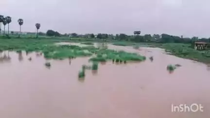 मखदुमपुर: प्रखंड से गुजरी मोरहर और दरधा नदी में आया पानी, किसानों में खुशी की लहर