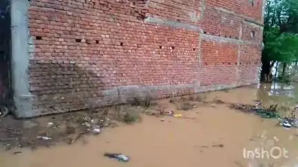 हिलसा: हसनपुर गांव के पास मछली तालाब के निकट तीन तटबंध टूटे, मडवा, हरवसपुर समेत कई घरों में घुसा बाढ़ का पानी