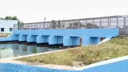 திருக்குவளை: கடைமடையான நாகை வந்து சேர்ந்த காவிரி நீர்: திருக்குவளை ஏர்வைக்காடு  கதவணை பகுதிக்கு வந்து சேர்ந்த காவிரி நீர் நெல் மணி கள் பூக்கள் தூவி வரவேற்ப்பு