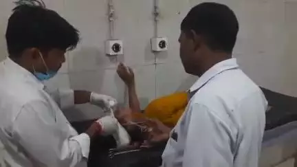मुरैना नगर: बंधा गांव के पास मवेशी से टकराई बाइक, बहन घायल, पिता-भाई बचे, अस्पताल में इलाज जारी