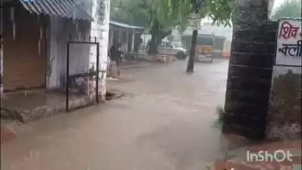 सेपउ: कैंथरी गांव में आकाशीय बिजली गिरने से हरे पेड़ में लगी आग, धधकने लगा