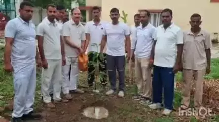 नानपारा: रूपईडीहा रेंज में वन अधिकारियों ने अंतरराष्ट्रीय योग दिवस पर वृक्षारोपण किया