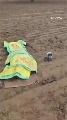 नीम का थाना: सिरोही ग्राम का बताया जा रहा वीडियो, युवक की बेरहमी से पिटाई का वीडियो सोशल मीडिया पर वायरल, दोनों पैरों व सिर में चोट