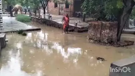 गोरमी: हसनपुरा गांव में सड़क पर भरा गन्दा पानी लोगों को निकलने में हो रही परेशानी लोगों ने की शिकायत
#janasamaya