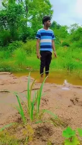 अब बारिश का मौसम शुरू हो गया।