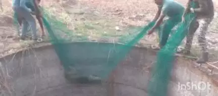 देवरी: विहिरीत पडलेल्या रानडुकराला वन विभागाने दिले जीवनदान ग्रामपंचायत शेडेपार ग्राम सालई येथील घटना