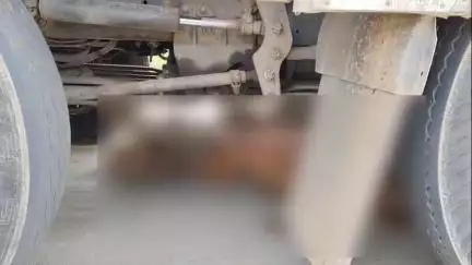 कैलारस: पहाड़गढ़: तेज रफ्तार ट्रक ने गोवंश को मारी टक्कर, 5 किमी तक घसीटा, गाय की मौत
