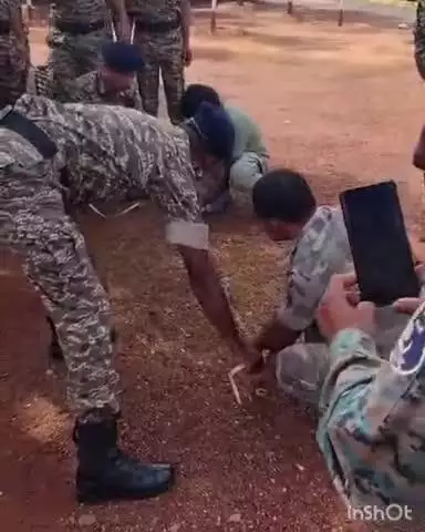 बास्तानार: पूसपाल CRPF कैंप में जवानों ने पकड़ा 10 फीट लंबा अजगर, जिसे जंगल में सुरक्षित छोड़ा गया