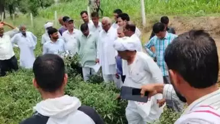 लक्ष्मणगढ़: अरनिया गांव में सांसद अमराराम ने खराब हुई टमाटर फसल का लिया जायजा, किसानों से की चर्चा