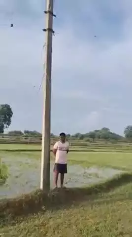 तरहसी: टिकुलिया गांव में करंट लगने से चार मवेशियों की मौत, किसानों को ₹60 हजार का नुकसान
