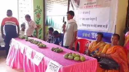 इटकी: इटकी प्रखंड मुख्यालय में आम बागवानी महोत्सव का आयोजन, तीन किसान सम्मानित