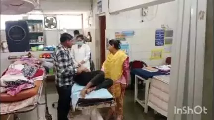 कटनी नगर: नन्हवारा में ज़हरीले सांप के काटने से एक लड़की की हुई मौत
