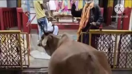 बांधवगढ़: मां वैष्णो देवी मंदिर में पुजारी ने विधि-विधान से उतारी माता की आरती