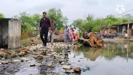 नवागढ़: शिवरीनारायण के वार्ड 15 के मोहल्ले और घरों में घुसा गटर का पानी, सौ घरों के सैकड़ों लोगों की बढ़ी मुसीबत #jansamasya