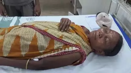 ଗୋବିନ୍ଦପୁର: ତପଗୁଞ୍ଜା ସମେତ ବିଭିନ୍ନ ସ୍ଥାନରେ ସାପ କାମୁଡ଼ାରେ ୩ ଜଣ ଆହତ, ସମସ୍ତେ ଗୋବିନ୍ଦପୁର ଡାକ୍ତରଖାନା ରେ ଭର୍ତ୍ତି