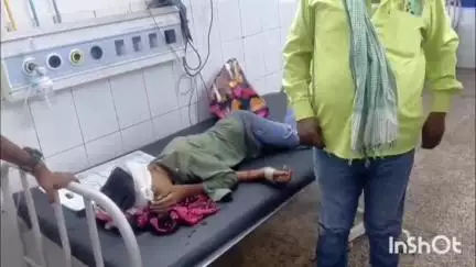 जमुई: धपरी गांव के पास पिकअप वाहन की टक्कर से बाइक सवार 3 लोग घायल, सदर अस्पताल में भर्ती