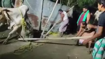 सहसपुर लोहारा: देवगढ़िया में 15 फीट गड्ढे में फंसा सांढ, जेसीबी और ग्रामीणों की मदद से घंटों की मेहनत के बाद निकाला गया बाहर
