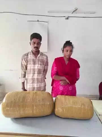 பொன்னேரி: ஆந்திராவில் இருந்து ஆட்டோவில் 15 கிலோ கஞ்சா கடத்தி வந்த கணவன்-மனைவி கைது