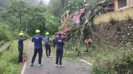 चमोली: टंगसा में पंचायत भवन पर गिरा विशालकाय पेड़, गोपेश्वर फायर सर्विस ने त्वरित कार्रवाई कर हटाया