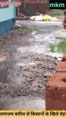सुसनेर नगर में बारिश आने से खिले किसानों के चेहरे अब करेंगे बवनी