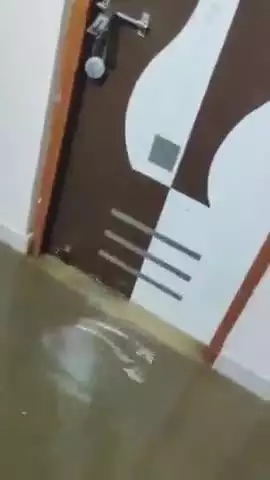 दतिया नगर: झमाझम बारिश से शहर के नाले-नालियाँ ओवरफ्लो, पंचशील नगर पांडे के बाग़ में घरों में घुसा पानी