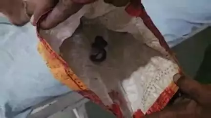 लाडपुरा: तालेड़ा थाना इलाके के रामपुरिया गांव में सांप पर पैर रखने पर सांप ने काटा, परिजन सांप को मारकर अस्पताल लाए